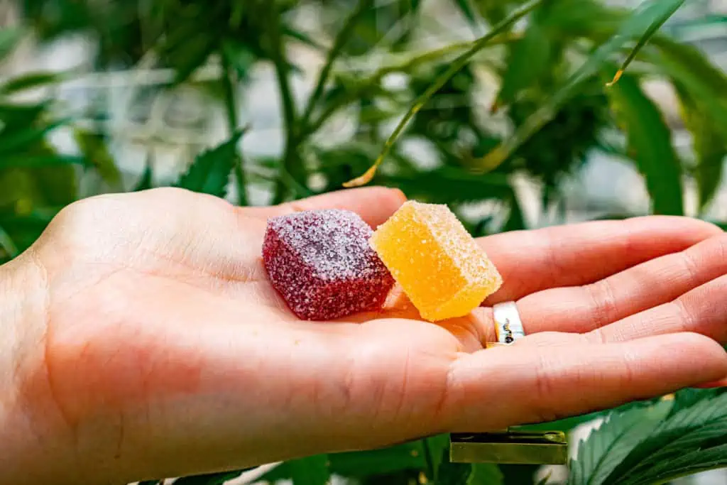 THCP Gummies