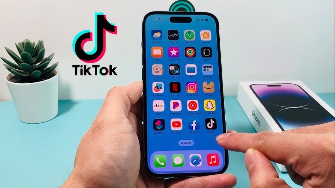 TikTok Videos